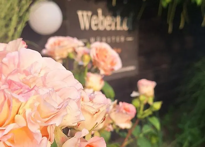 Weberhof-münster Glamping *